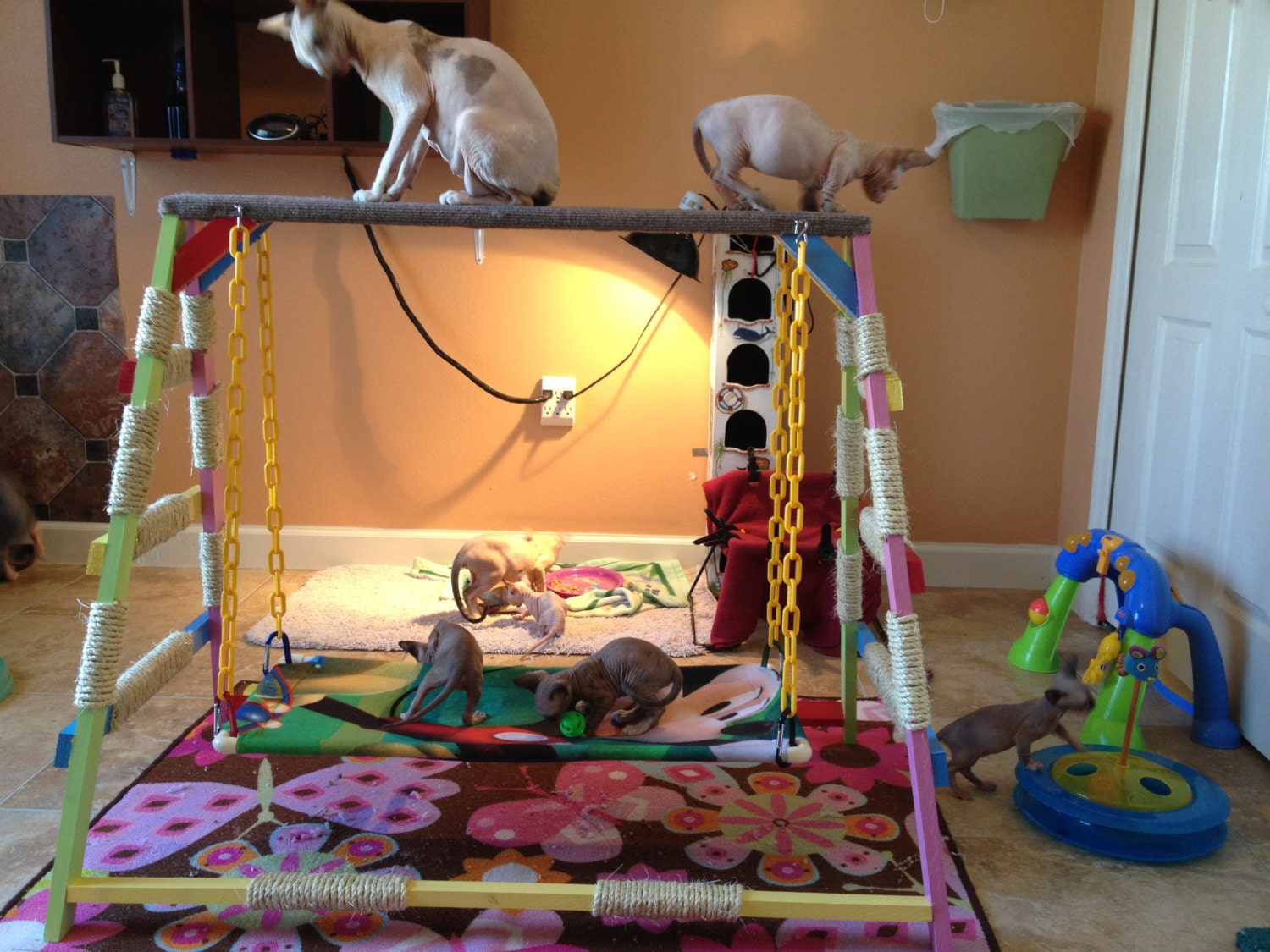 Fun interactive solid wood cat climber