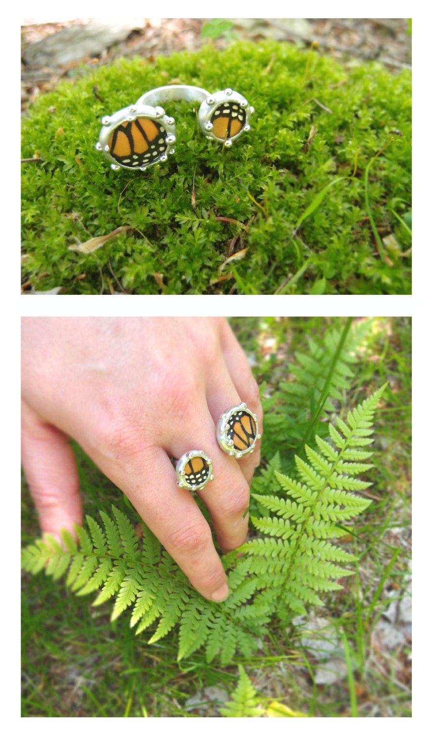 Real Monarch Butterfly Wings Ring - Nature Inspired Jewelry - Size 7.5 - 8
