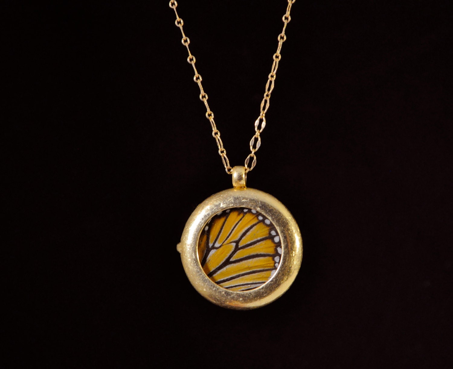 Real Monarch Butterfly Wing Pendant Locket Necklace Reversible