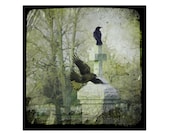 Two Gothic Crows, Crow Art,  Serenity, Graveyard Image,  Nature - Gothic Zen