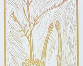 Untitled (Botanical) - Linocut Print - Plants / Nature