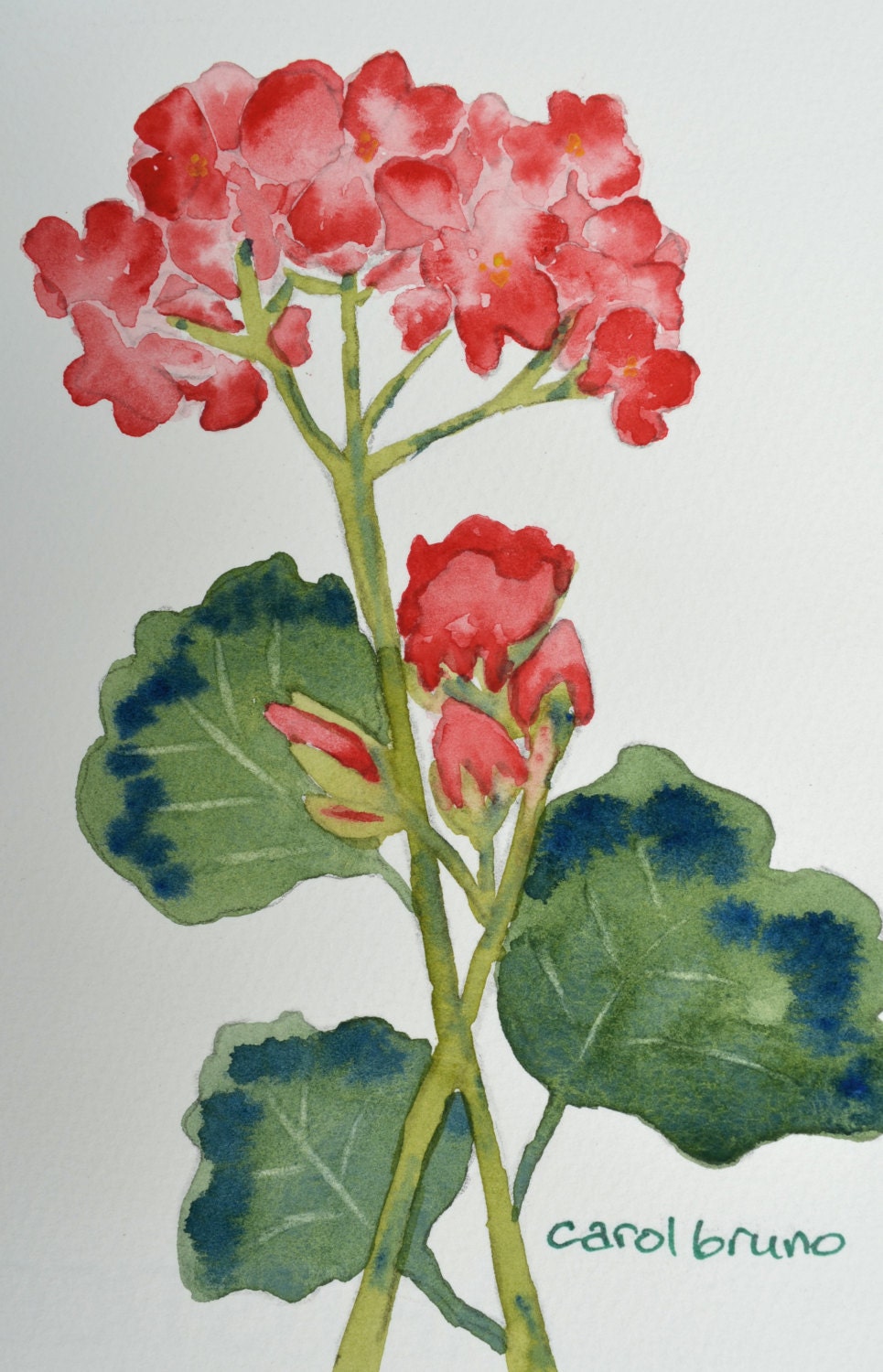 Art, Fine Art-Red Geranium-Small Original Watercolor Painting of Flower