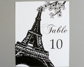 Paris Spring Table Numbers for Weddings Receptions Bridal Shower Baby Blossom Floral French Flowers Party Decor Vintage French Birthday