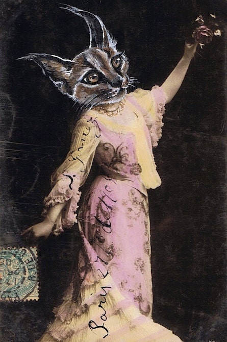 caracal girl