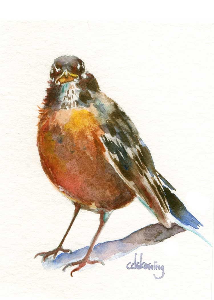 Hello Robin watercolor bird art PRINT 8.5x11