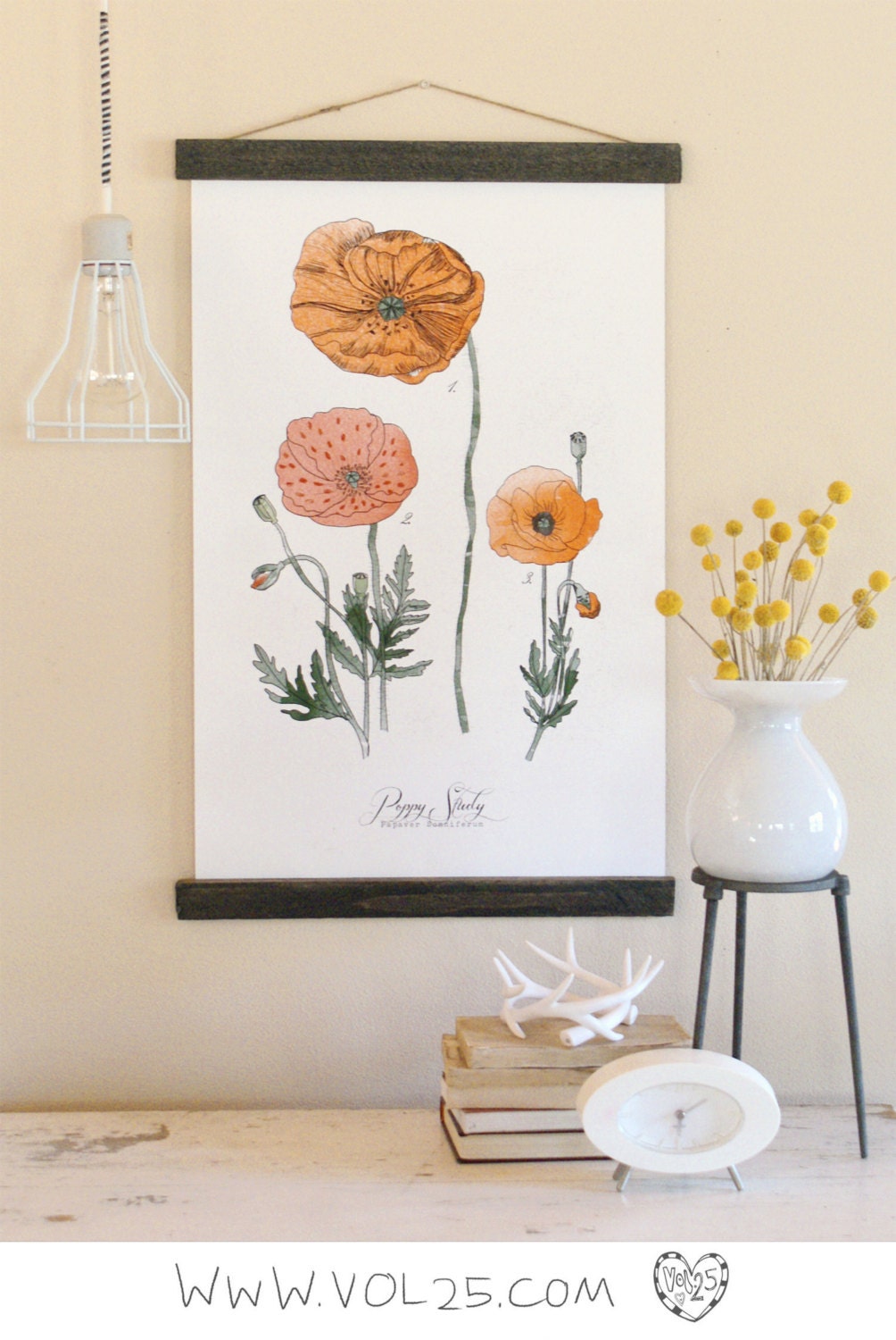 Vintage Inspired Science Posters - POPPY STUDY VOL 1