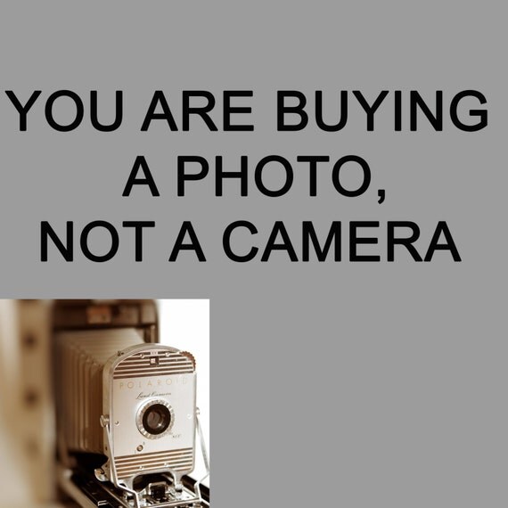 Polaroid camera PHOTO retro design Vintage mid century industrial antique camera photo instant film : Pola 800 5x5