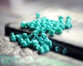 50 Turquoise Buds - Czech Glass Baby Bell Flower Beads