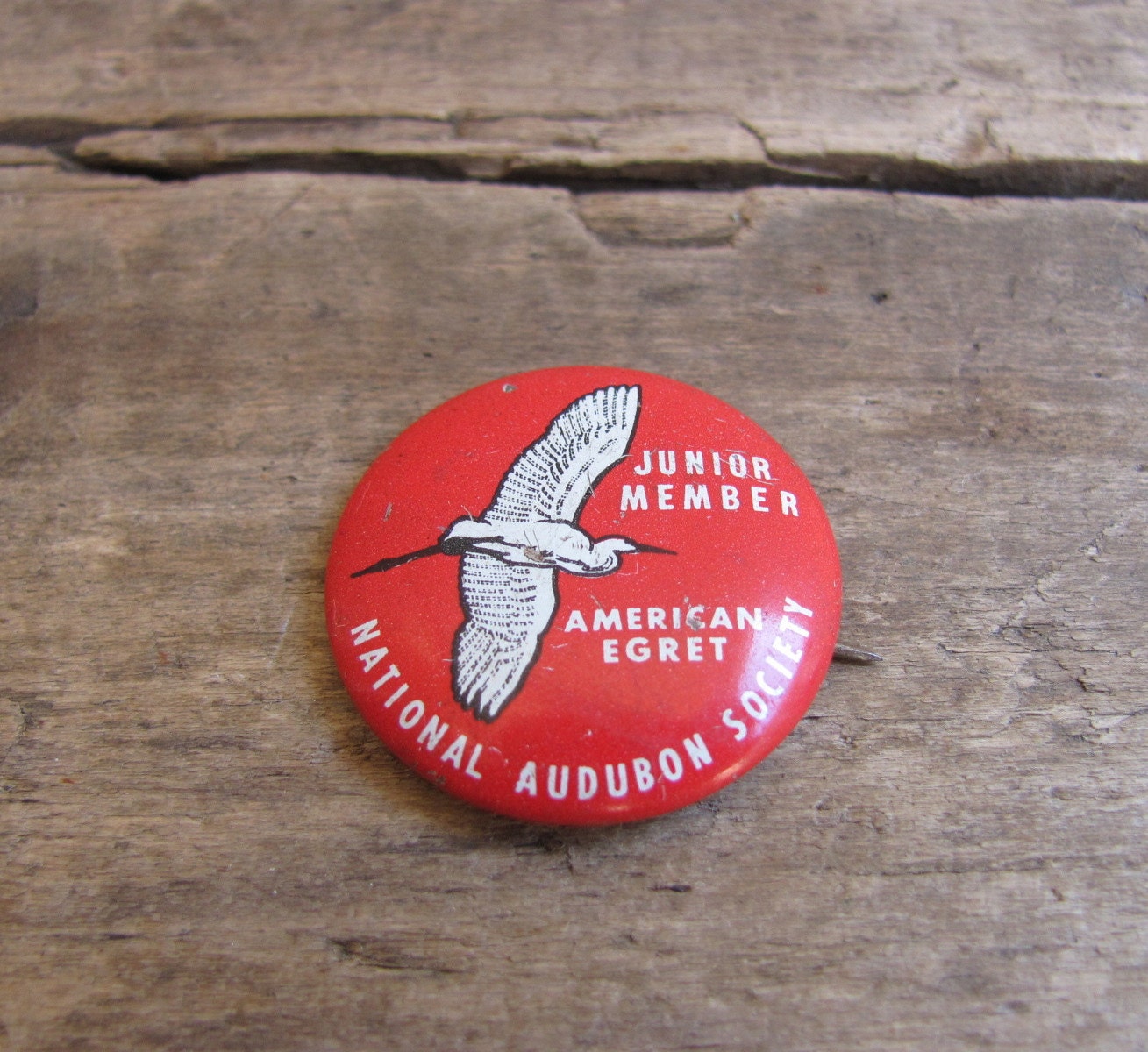 vintage c. 1940s National Audubon Society Junior Member lapel pin with snowy egret
