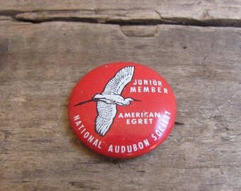 vintage c. 1940s National Audubon Society Junior Member lapel pin with snowy egret