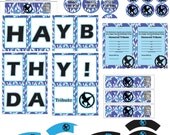 Hunger Games/Katniss Everdeen Inspire/Mocking Jay/ Resist Fire Theme Birthday Party Pack- Blue Blaze Tribute Boy or Girl- Digital