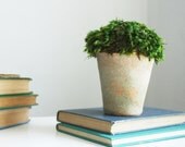 NEW- moss mound in aged terra cotta, preserved moss arrangement