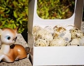Box of Twelve Handblown Speckled Quail Eggs