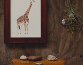 Giraffe 5x7 Print