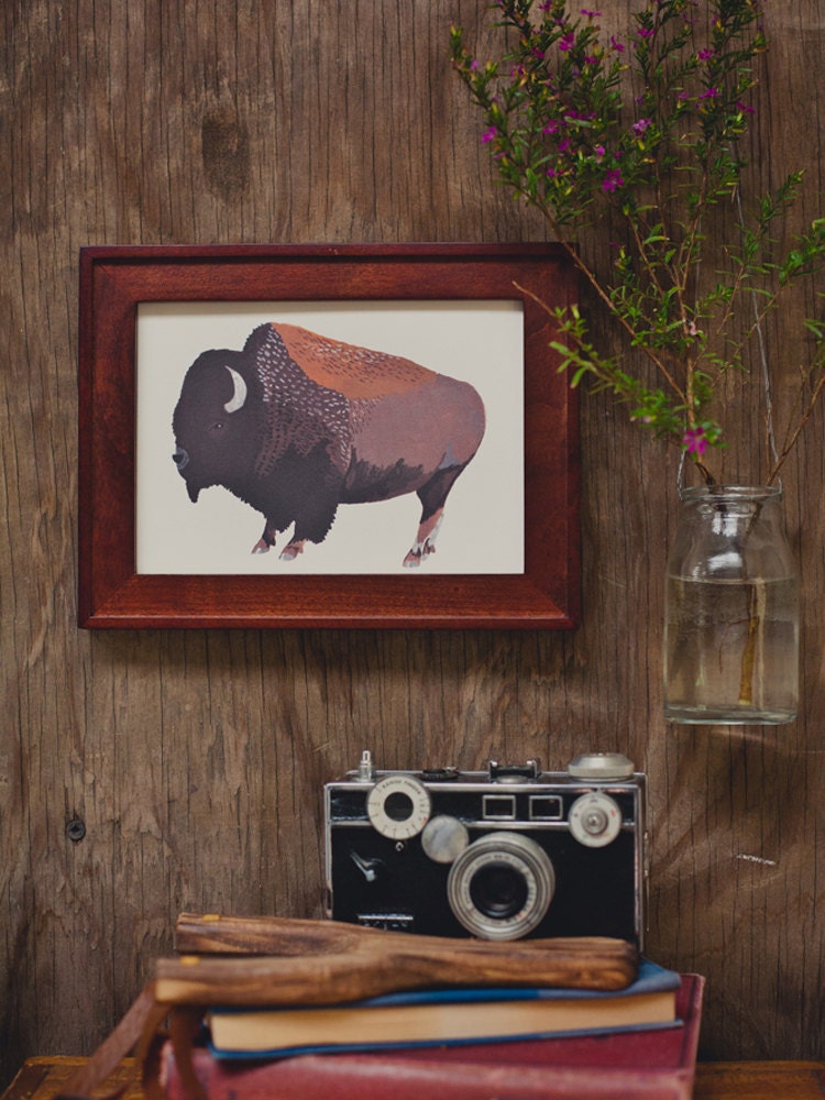 Buffalo 5x7 Print