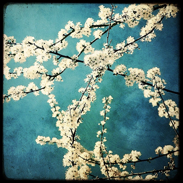 Waiting for Spring to Bloom - 8x8 Fine art Print  - Nature Photography - For Tree Lovers - Etsy Wall Art - TFTeam