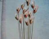 Seashell Stems - 12 Colorful SeaLilies Seashells for Wedding Bouquets Bridal Bouquets