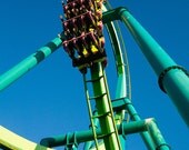 Raptor at Cedar Point 11x14 Print