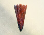 U.S. Monster Bone