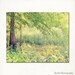 Spring Forest Landscape Photograph, 8"x10" Fine Art Print. Trees Nature Wonderland. Lime Green, Brown. Easter.