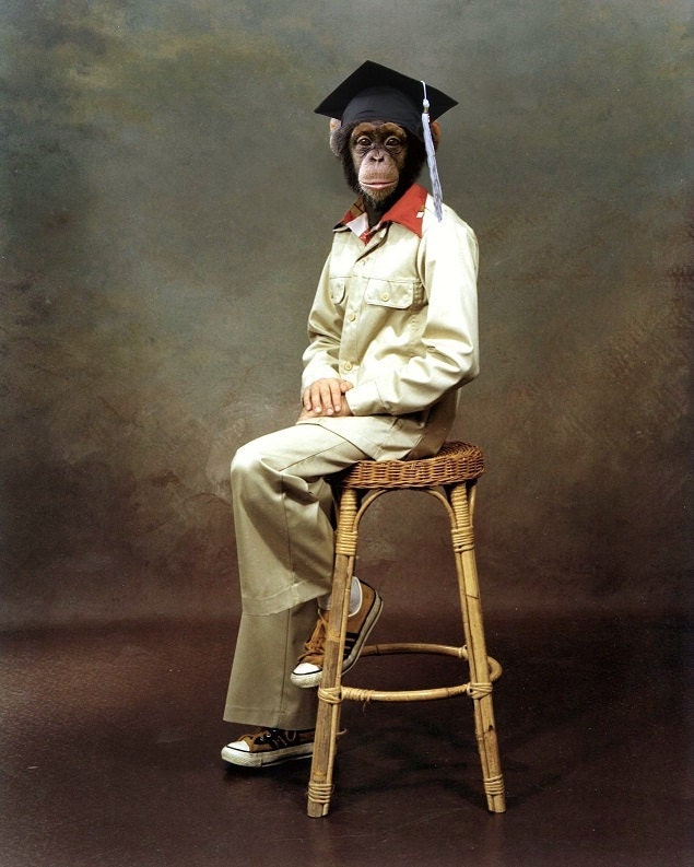 Portrait of Jerry, the Chimp, Graduation 1975 - 8 X 10 Fine Art Print