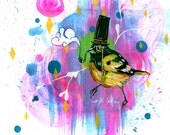 Matte Photo Print 4x6 Oriole With Top Hat