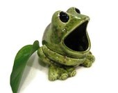 Ceramic Frog Sponge Holder - Warm Lime Green