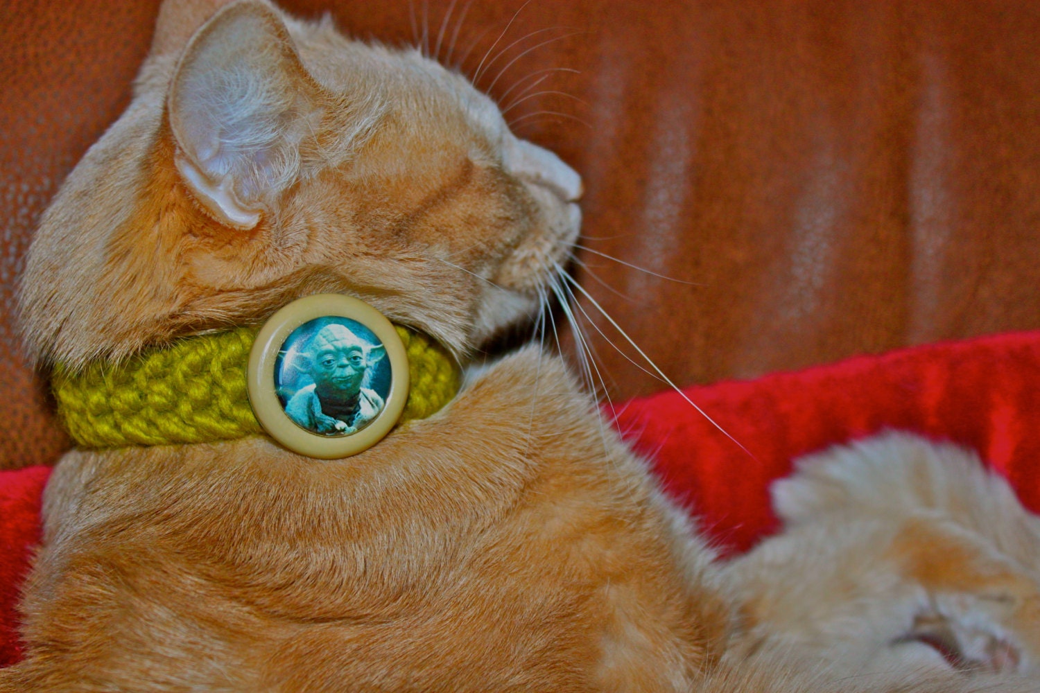 Star Wars Yoda Kitty Cat Collar