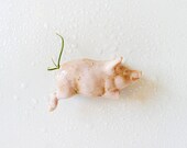 My Lil Oinker Magnet - Antique German Bisque Pig with Air Plant Tail Garden