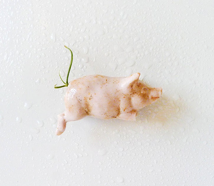 My Lil Oinker Magnet - Antique German Bisque Pig with Air Plant Tail Garden