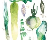 Japanese vegetables, 8X10 watercolor painting print, Kitchen art, Asian food poster, Green wall decor