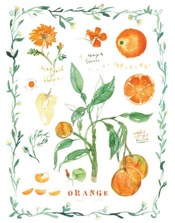 Print of orange fruits and flowers with botanical border, 8X10 kitchen decor, Watercolor fruit illustration, Food art poster