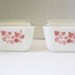 Pyrex Pink Gooseberry Refrigerator Dish Set