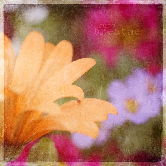 fine art photography - 8x8 photo - wall decor - wall art - inspiration - flower - nature photography - texture - just breathe