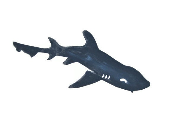 Dogfish T-Shirt, Organic Cotton