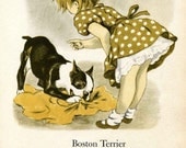 Boston Terrier and Irish Terrier Illustrations by Tibor Gergely