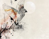 Watercolors paintings Original drawing, Whimsical flying bird art print, Pen and ink