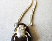 Brass Beetle & Brown Resin Pendant Necklaces on Vintage Brass Curb Chain