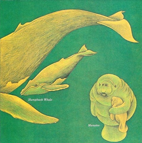 Vintage Print - Animals, Baby Decor, Nursery, Sea Life, Whales, Green