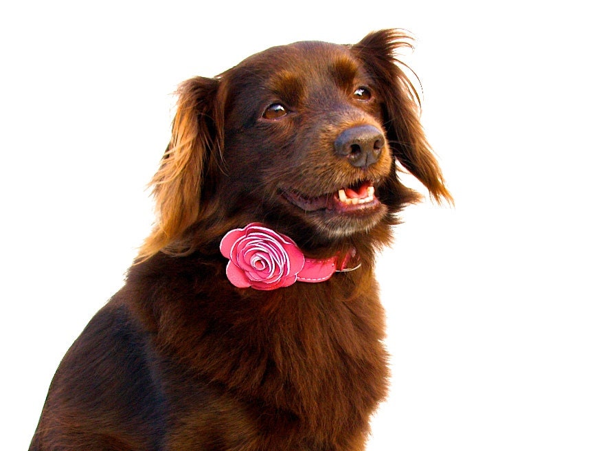 The Flower Child Pink Leather Dog Collar