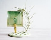 Ceramic Flower Frog, Green- Free Shipping