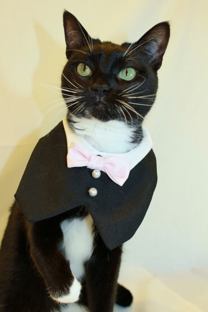 CoolCats Cat Tuxedo with Bow Tie Collar Custom--Match your Wedding Colors