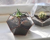 NEW Atlas Terrarium Planter Kit -- geodesic glass terrarium -- stained glass - copper or silver -- eco friendly