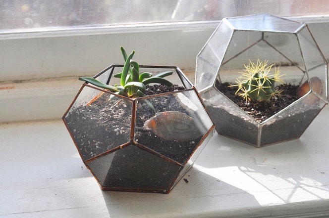 NEW Atlas Terrarium Planter Kit -- geodesic glass terrarium -- stained glass - copper or silver -- eco friendly
