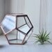 NEW Universe Terrarium Kit, small dodecahedron glass terrarium with a hinged door -- stained glass -- copper or silver color -- eco friendly