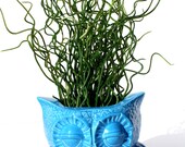Seconds Sale - Neon Blue Owl Planter, OOPS