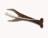 Hair Stick Shawl Pin Scarf pin Natural color in ivory Tribal Deer Antler Carving Hairpin Natural Hair Accessory Handmade by MariyaArts