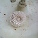 IVORY Large Flower Ring Oversized CREAM Marigold Flower Ring on Adjustable Band Women's Fashion Jewelry Cabochon Ring