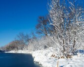 Winter Snow Photo, Frozen Pond, Blue Sky, 11x14 Print, 'SnowScape'