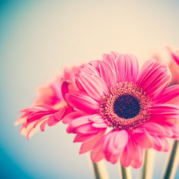 Spring photography,love photography, photography, mint, turquoise, red, pink, flower, floral print, home decor